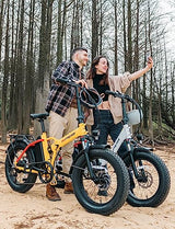 Hipeak Electric Bike for Adults, Ebike 750W/48V/15Ah, 20" x 4.0" Fat Tires Electric Bike