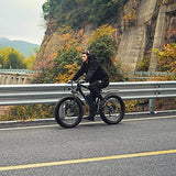 Viribus Electric Bike for Adults, 25mph 40+ Mile Range Fat Tire E Bike with Shimano 21 Speed