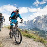 Wheelspeed Electric Bike 27.5", 500W Motor Adults Electric Bicycle