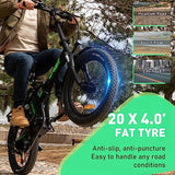 HITWAY Electric Bike for Adults, 20" x 4.0 Fat Tire with 750W Motor