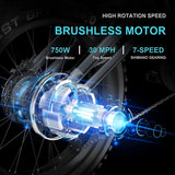 JANSNO Electric Bike 20" x 4.0 Electric Bike for Adults with 750W Brushless Motor