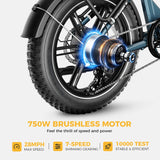 Heybike Ranger S Electric Bike for Adults, Foldable 750W Ebike